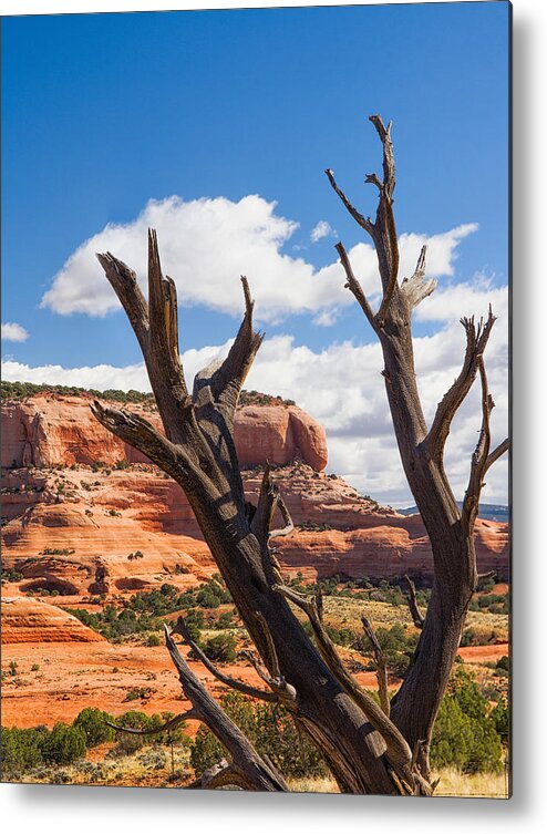 Utah Metal Print featuring the photograph Preserved by Daniel George