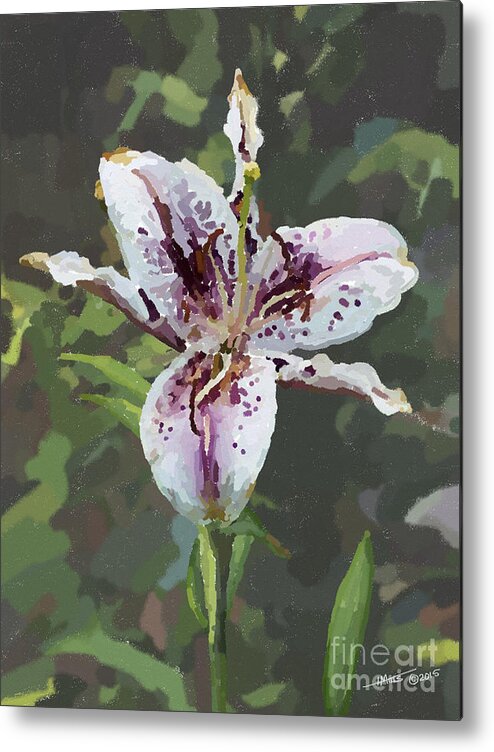 Flower Metal Print featuring the digital art Purple n White Lily 102615 1a by Henry Mills