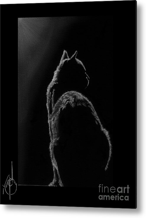 Pencil Metal Print featuring the drawing Pussy Cat by Murphy Elliott