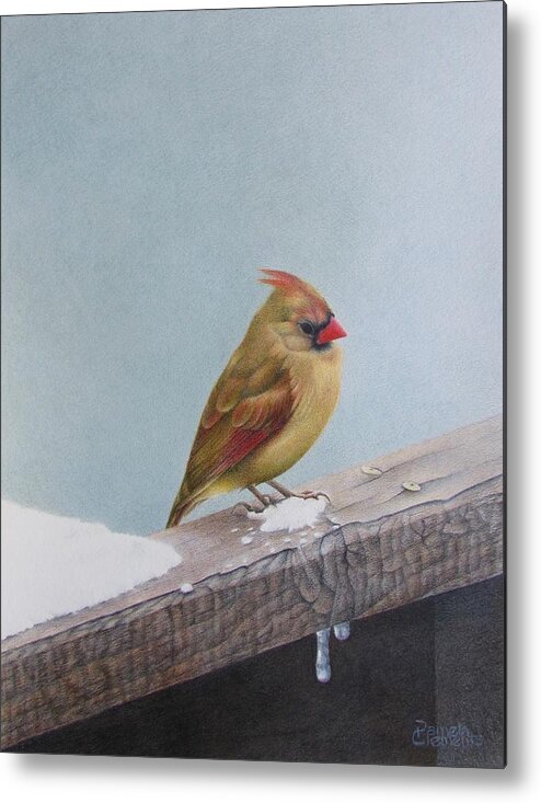 Cardinal Metal Print featuring the drawing Queen of State by Pamela Clements
