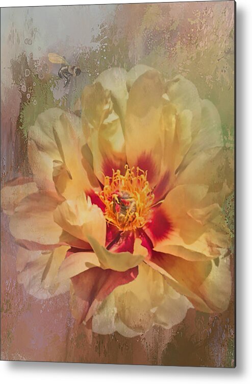 Flower Metal Print featuring the photograph Rayanne's peony by Jeff Burgess