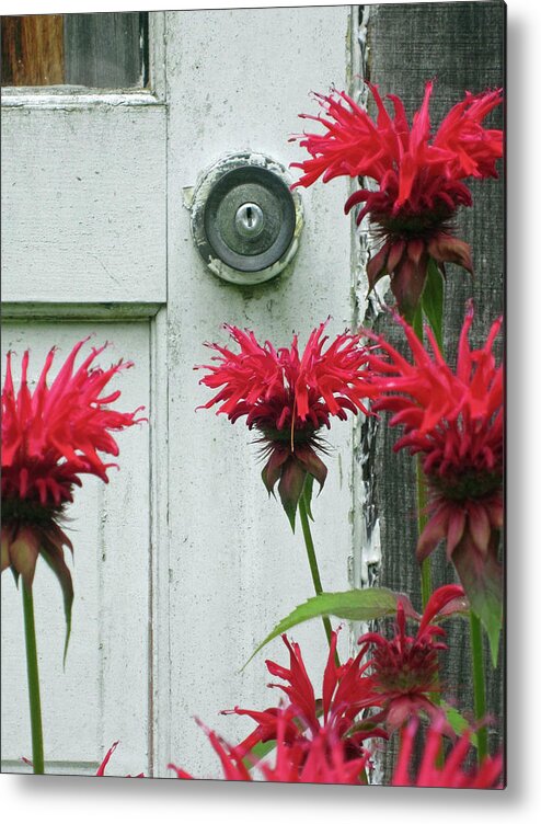 Red Bee Balm Metal Print featuring the painting Red Explosions by Simi Berman