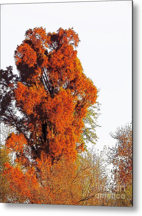 Red Reddish Orange Red-orange Tree Trees Fall Woods Wood Leaf Leaves Craig Walters A An The Art Artist Photo Photograph Metal Print featuring the digital art Red-Orange Fall Tree by Craig Walters