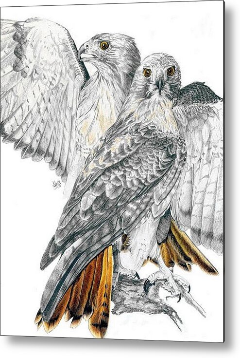 Birds Of Prey Metal Print featuring the mixed media Red-Tailed Hawk by Barbara Keith