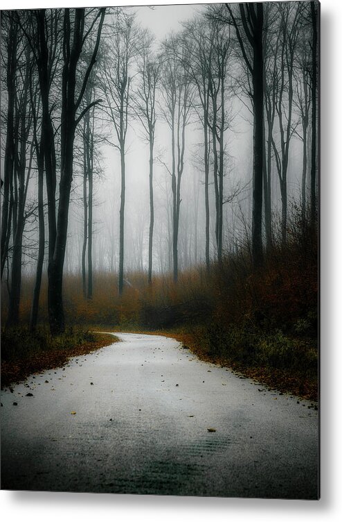 Autumn Metal Print featuring the photograph Road in the fog 07/11/17 by Plamen Petkov