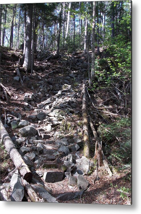 Rocks Metal Print featuring the photograph Rock Staircase by Catherine Gagne