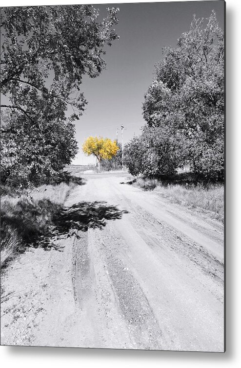 Autumn Metal Print featuring the photograph Rural Autumn Splash by Brad Hodges