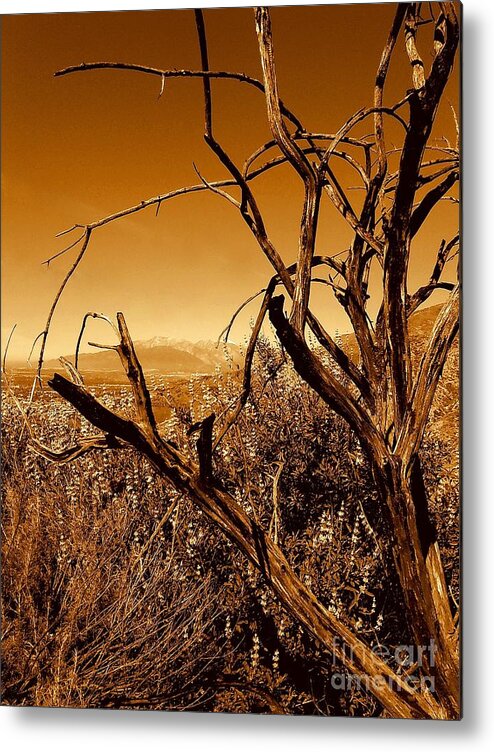 Michael Joseph Hoard Photos Metal Print featuring the photograph San Bernardino California Mountain View by Michael Hoard