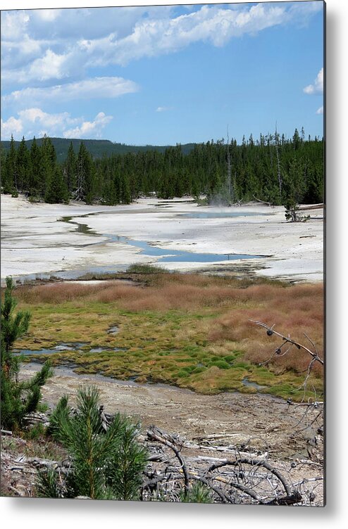 Variety Metal Print featuring the photograph Scenic Yellowstone by Laurel Powell