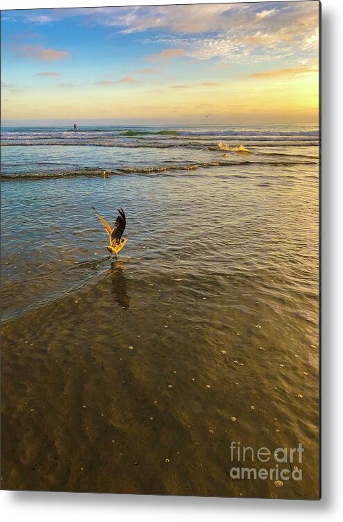 Seagull Metal Print featuring the photograph Seagull taking flight by Dina Calvarese