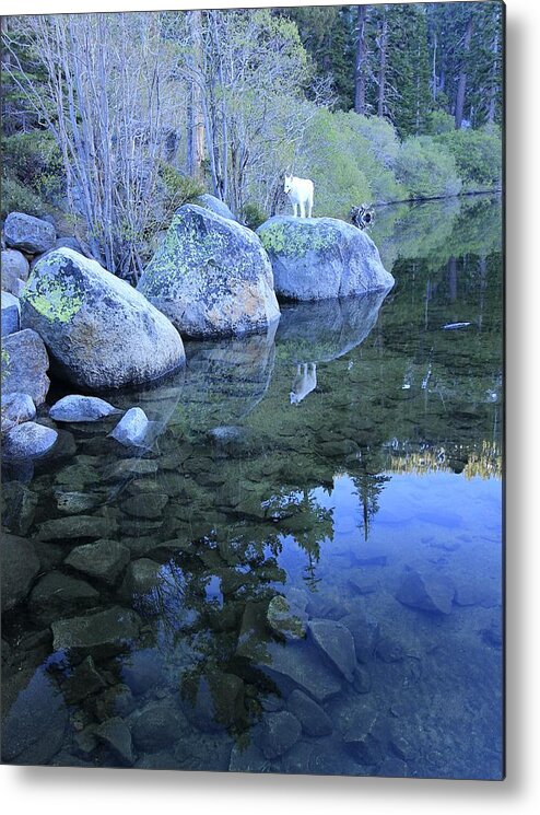 Waterscape Metal Print featuring the photograph Sekani Dawn by Sean Sarsfield
