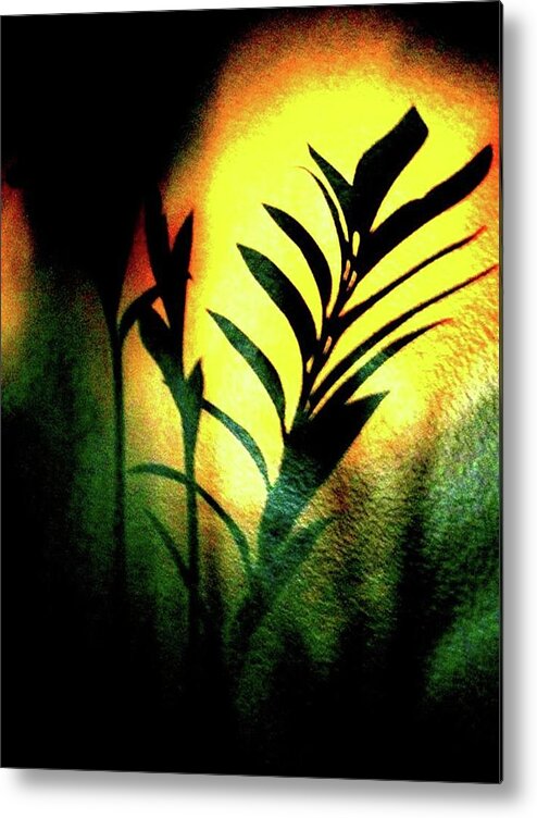 Shadow Green Metal Print featuring the photograph Shadow by 'REA' Gallery