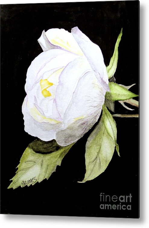 Rose Metal Print featuring the painting Single white Bloom by Carol Grimes