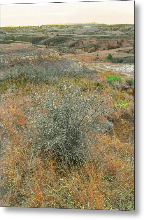North Dakota Metal Print featuring the photograph Slope County Reverie by Cris Fulton