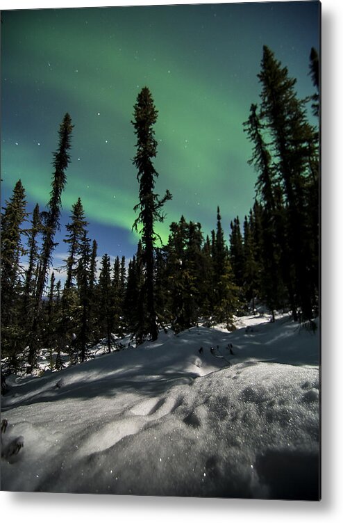 Aurora Borealis Metal Print featuring the photograph Snow Trails by Ian Johnson