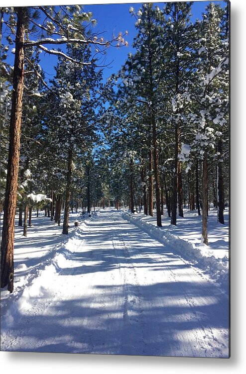 Snow Metal Print featuring the photograph Snowy Road by Brian Eberly