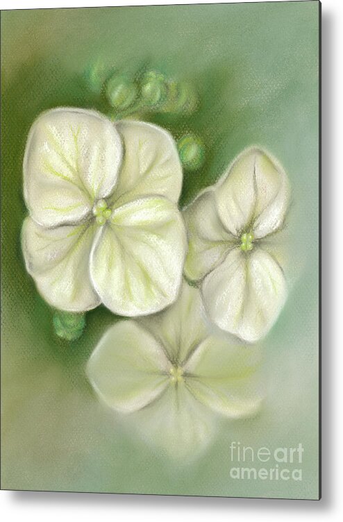 Botanical Metal Print featuring the painting Soft Summer Hydrangea Blossoms by MM Anderson