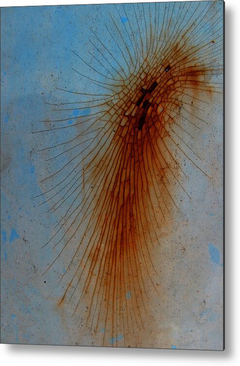 Lines Metal Print featuring the photograph Spidery by Elizabeth McPhee