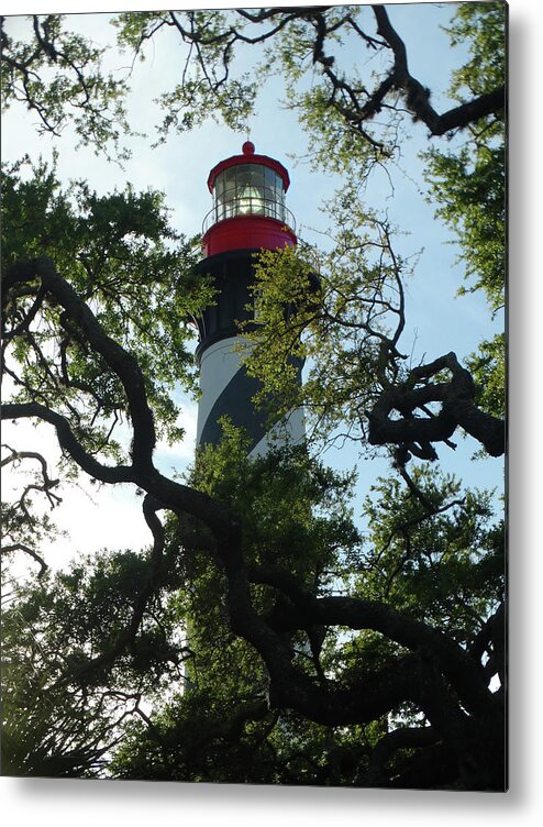 St. Augustine Light Station Metal Print featuring the photograph St. Augustine Light Through the Trees by David T Wilkinson