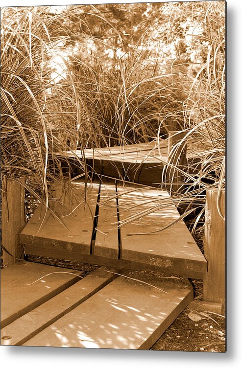 Sepia Metal Print featuring the photograph Stroll Garden Walkway by Audrey Venute