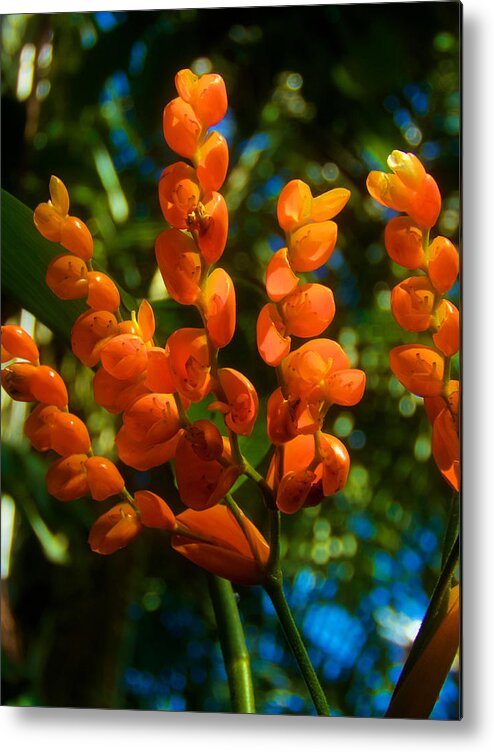 Capitol Columns Metal Print featuring the photograph Sunglow by Kathi Isserman