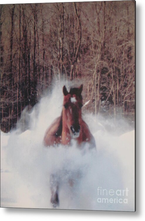 Horse Running Metal Print featuring the photograph Sunny running for the barn. by Jeffrey Koss