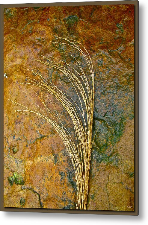 Textured Nature Metal Print featuring the photograph Textured Nature by Debra   Vatalaro