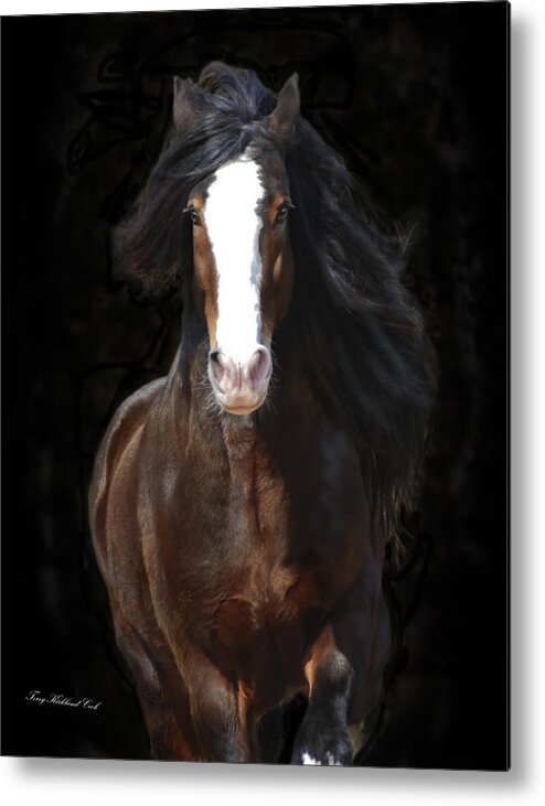 Equine Metal Print featuring the photograph The English Shire as Art by Terry Kirkland Cook