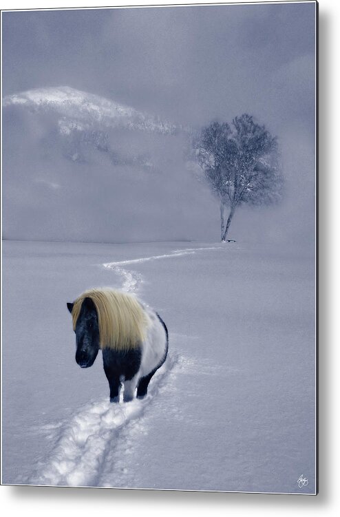 Birch Metal Print featuring the photograph The Mane and the Mountain by Wayne King
