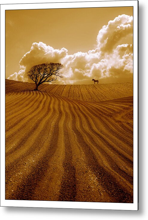 Field Metal Print featuring the photograph The Ploughed Field by Mal Bray