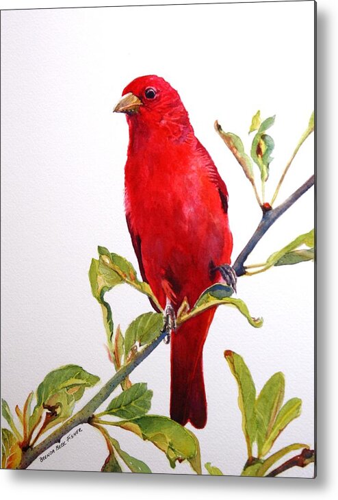 Scarlett Red Tanager Perched On A Tree Branch. Wildlife Metal Print featuring the painting The Scarlett Tanager by Brenda Beck Fisher