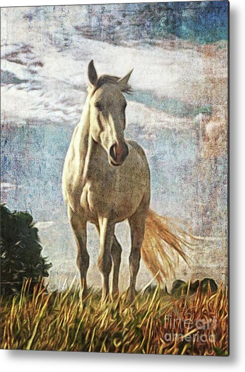Horse Metal Print featuring the painting The white horse Gusti by Horst Rosenberger