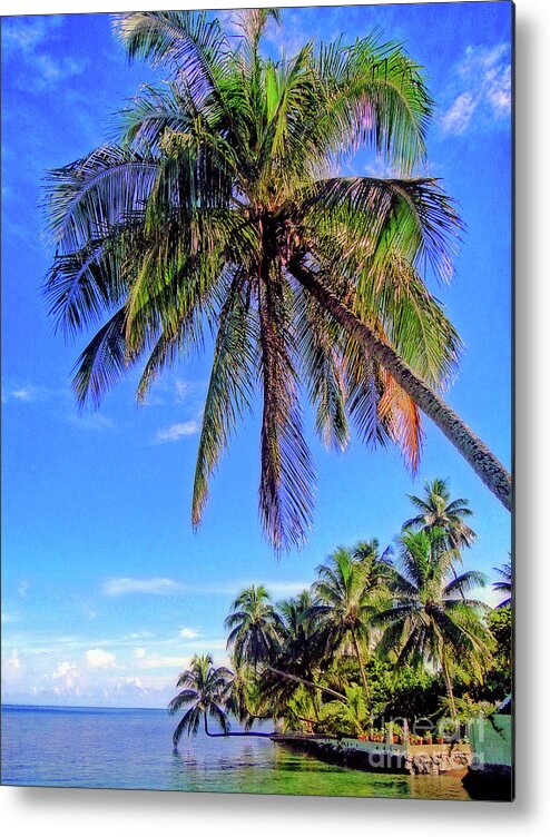 Tree Metal Print featuring the photograph Tropical Palms by Sue Melvin