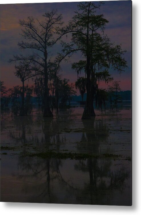 Orcinus Fotograffy Metal Print featuring the photograph Two Cypress At Dawn by Kimo Fernandez