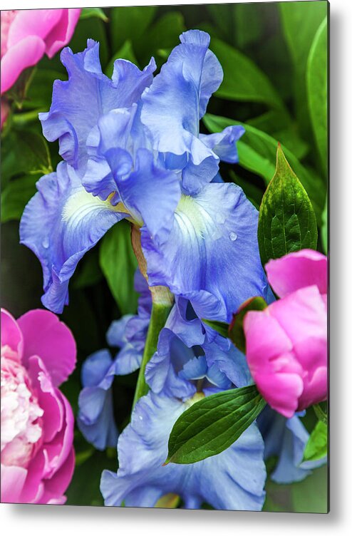 5dii Metal Print featuring the photograph Victoria Falls Iris by Mark Mille