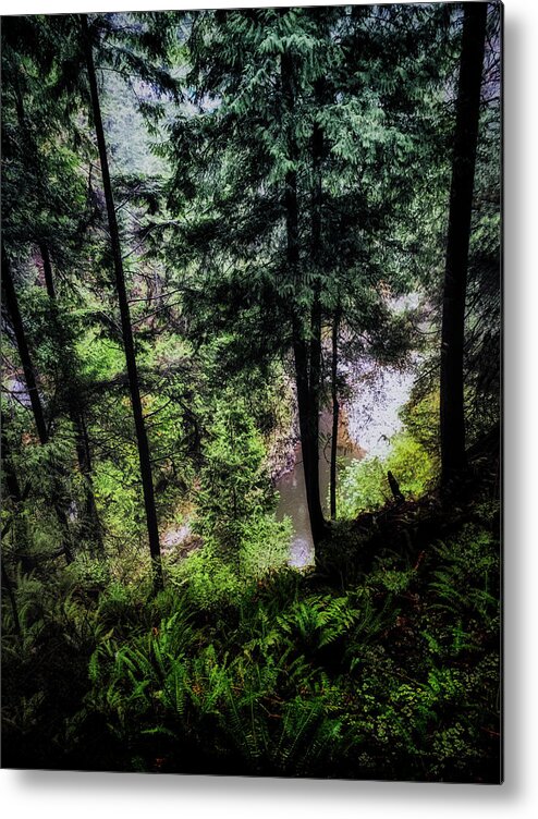 Nature Metal Print featuring the photograph View Downhill by Joseph Hollingsworth