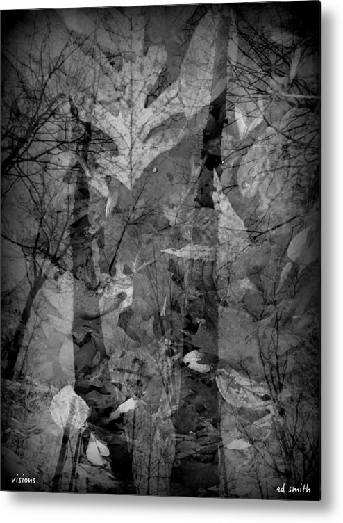 Visions Metal Print featuring the photograph Visions by Edward Smith