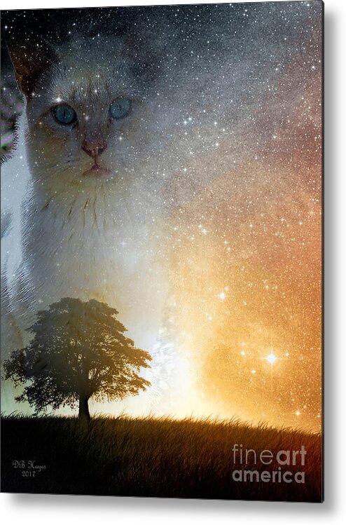 Cats Metal Print featuring the digital art Watcher by DB Hayes