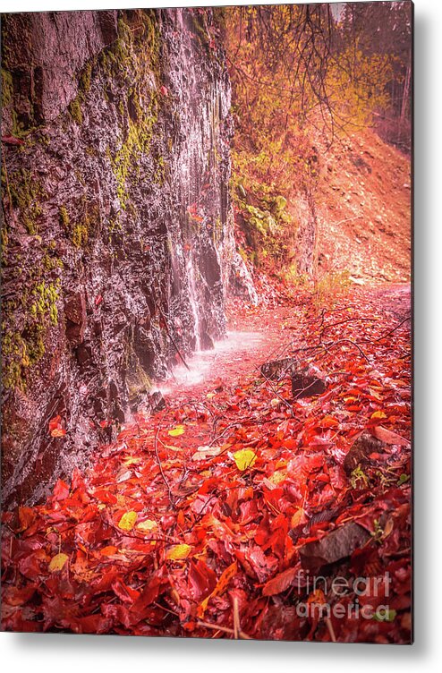 Autumn Metal Print featuring the photograph Water dripping on the rock wall by Claudia M Photography