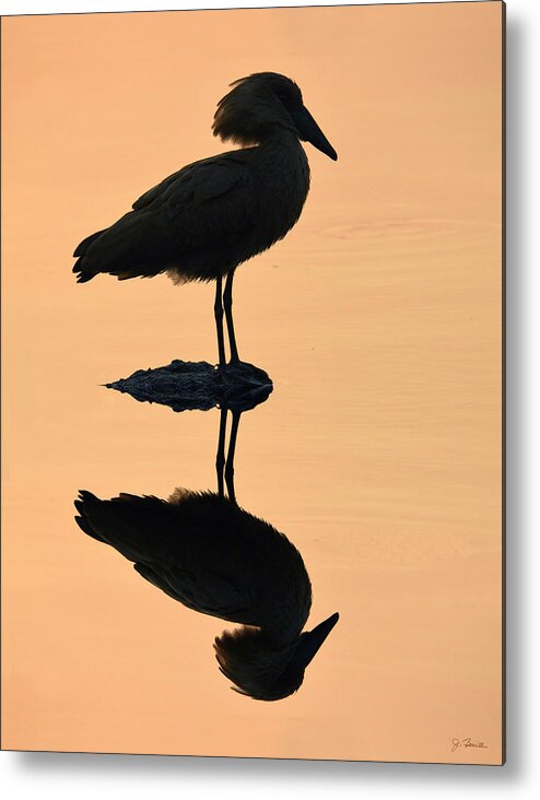 Silhouette Metal Print featuring the photograph Waterbird Silhouette at Dusk by Joe Bonita
