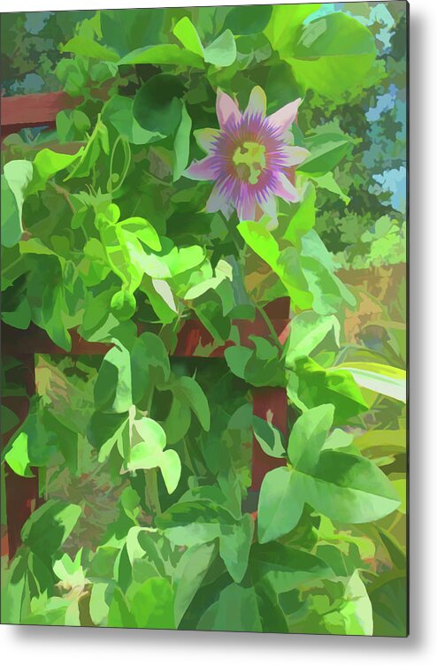 Passion Flower Metal Print featuring the photograph Watercolor Passion Flower 2 by Aimee L Maher ALM GALLERY
