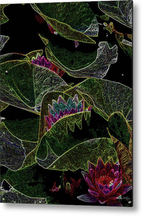 Waterlily Metal Print featuring the photograph Waterlily Mindscape by Wayne King
