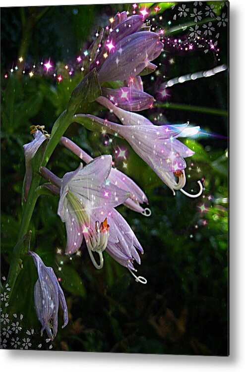 Fairies Flowers Metal Print featuring the digital art When The Fairies Come Out At Night by Pamela Smale Williams
