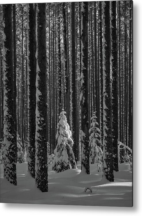 Finland Metal Print featuring the photograph When the light falls bw by Jouko Lehto