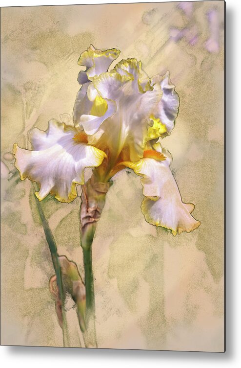 5dmkiv Metal Print featuring the digital art White and Yellow Iris by Mark Mille