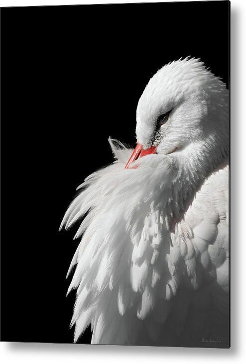White Stork Metal Print featuring the photograph White Stork by Wim Lanclus