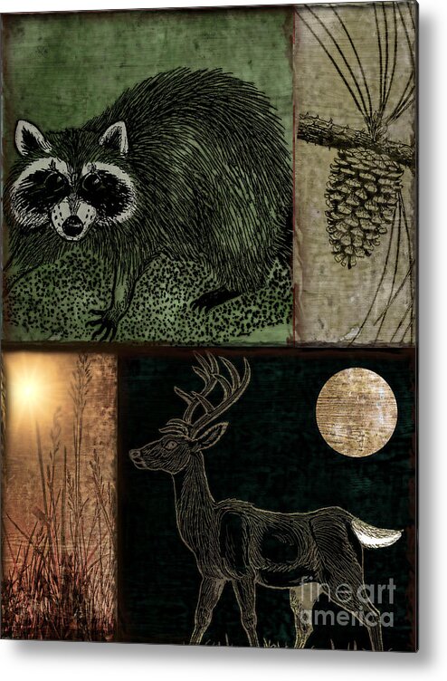 Wildlife Metal Print featuring the painting Wild Racoon and Deer Patchwork by Mindy Sommers