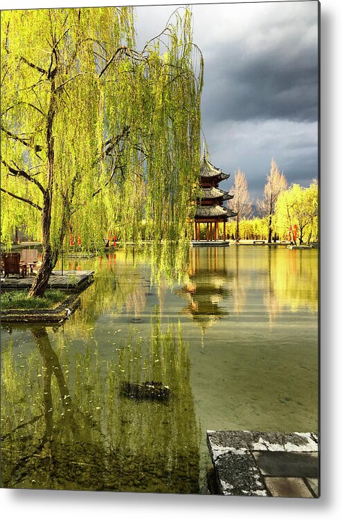Linda Brody Metal Print featuring the photograph Willow Tree In Liiang China II by Linda Brody