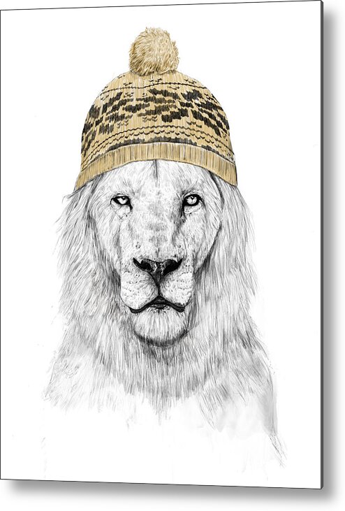 #faaAdWordsBest Metal Print featuring the drawing Winter lion by Balazs Solti