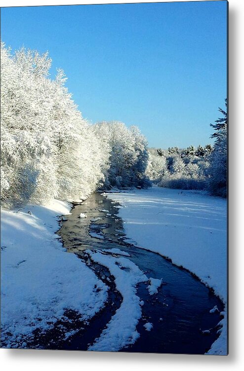 Winter Metal Print featuring the photograph Winter Stream by Dani McEvoy